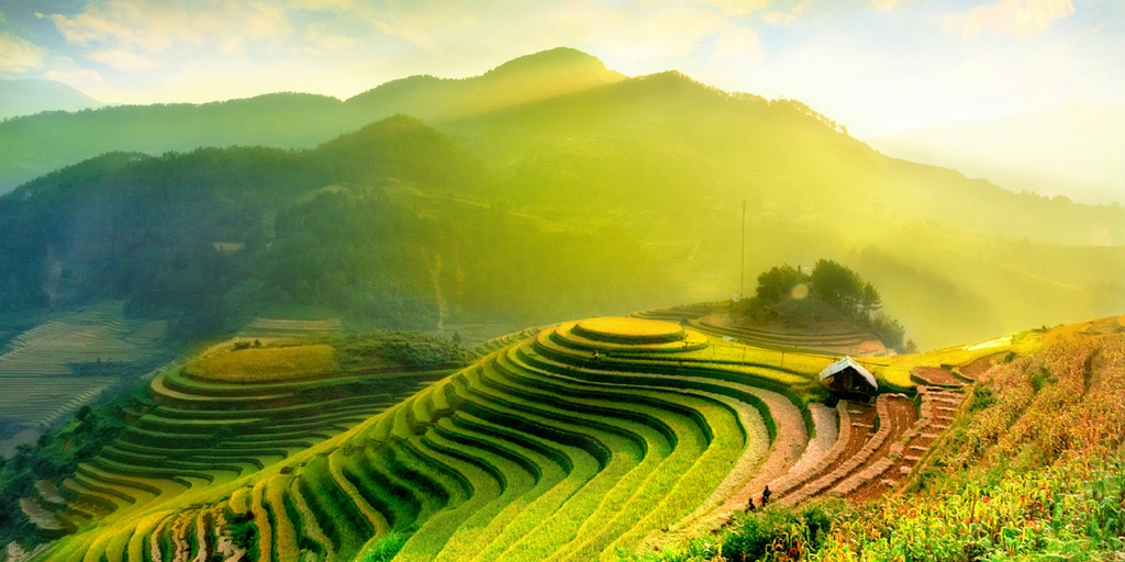 Around the World - Vietnam und Reisterrassen Vietnam Reisfelder Terrassen Asien Sonnenuntergang