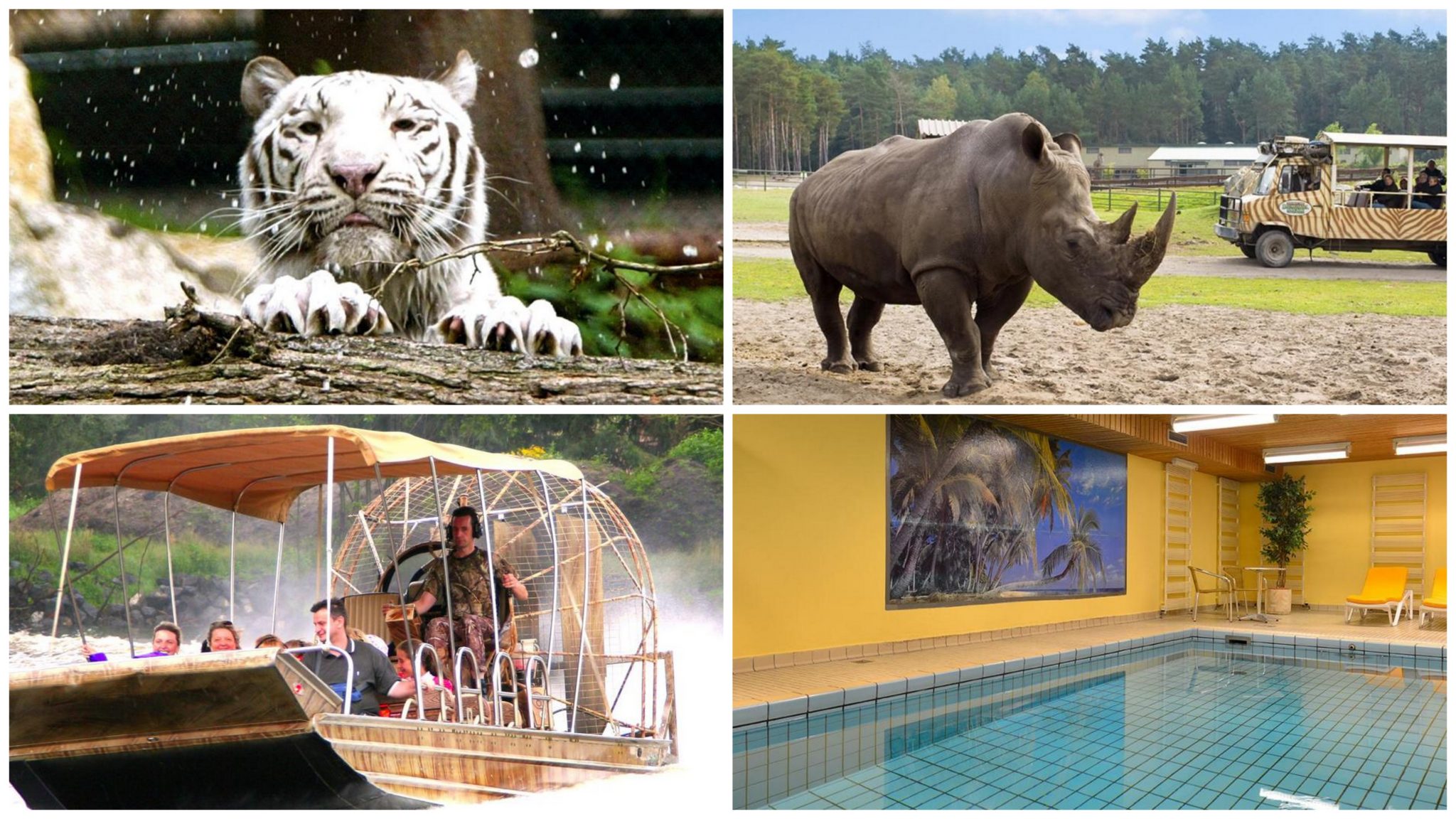Was Ist Besser Safari Park Oder Serengeti Park Serengeti Park - 3 Tage nur 99€ mit Übernachtung in der Dschungel Lodge