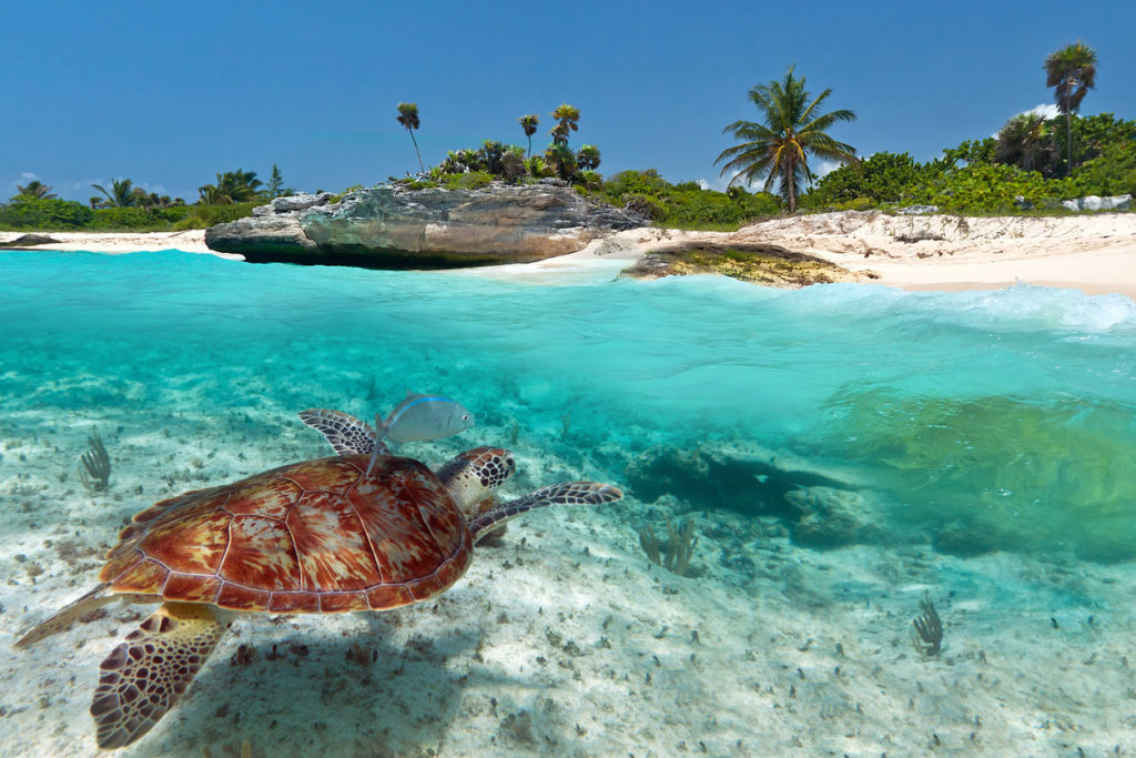 Akumal Mexiko