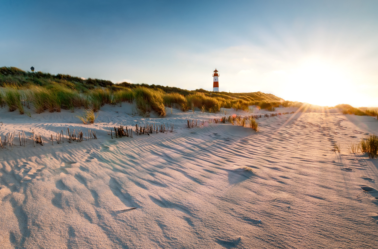 Die besten Nordsee Tipps - Insel Amrum Nordsee Tipps