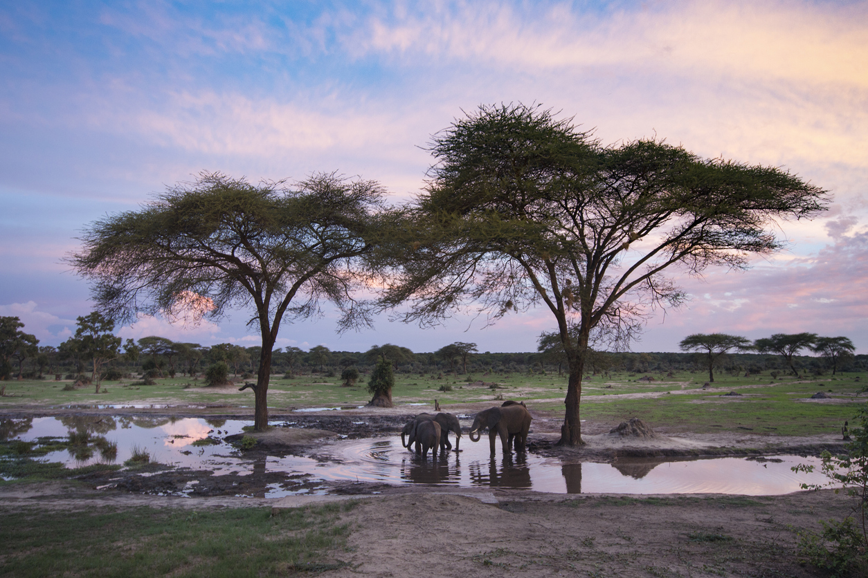 Beste Reisezeit für Botswana