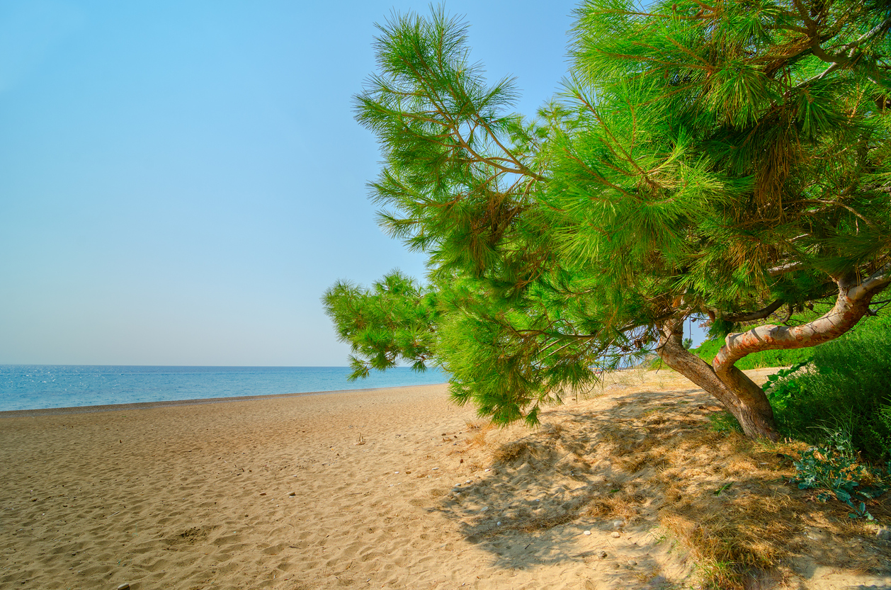 Skala Strand