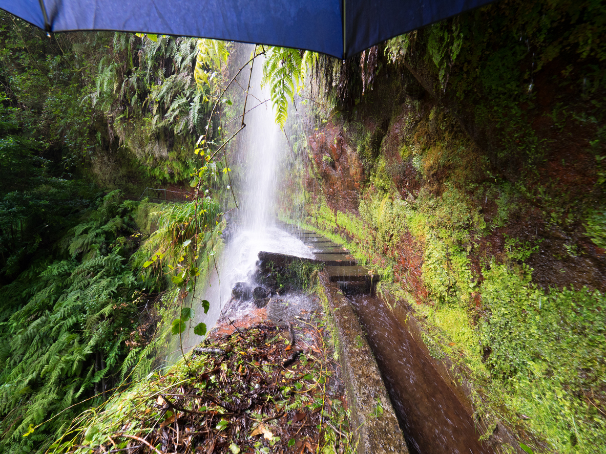 Madeira Tipps