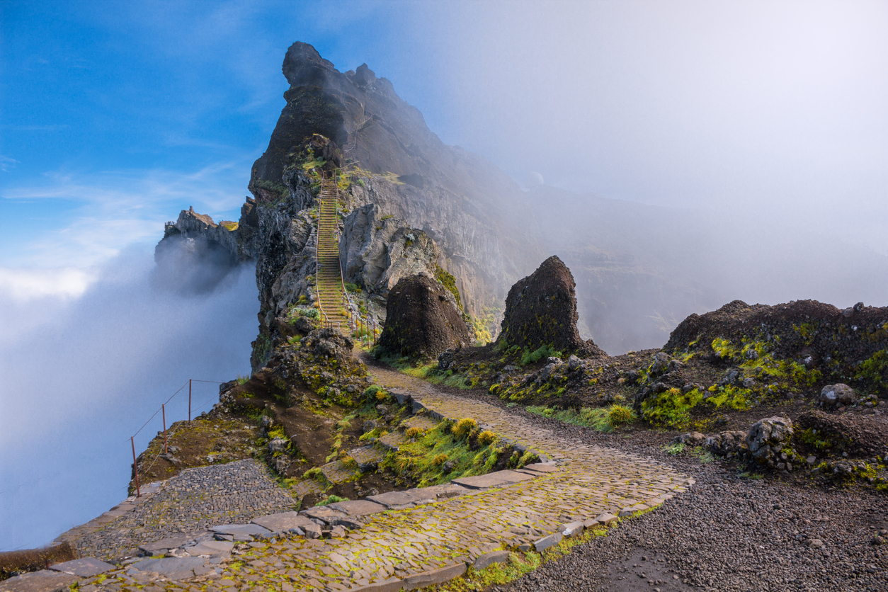 Madeira Tipps
