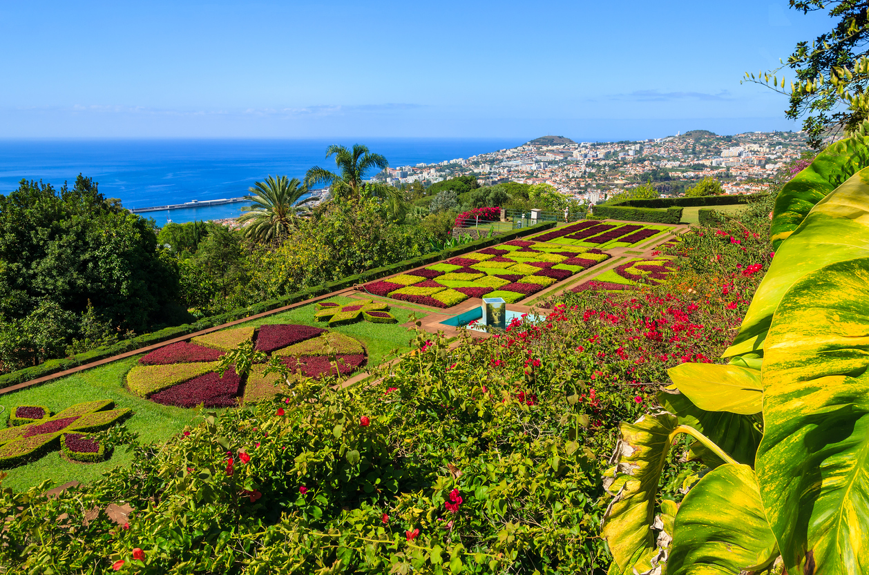 Madeira Tipps