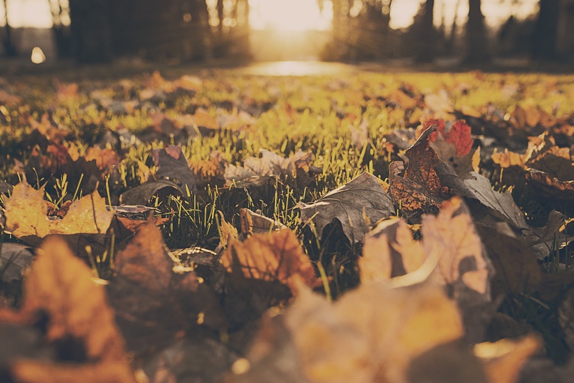 Die besten Reiseziele für Herbst und Winter