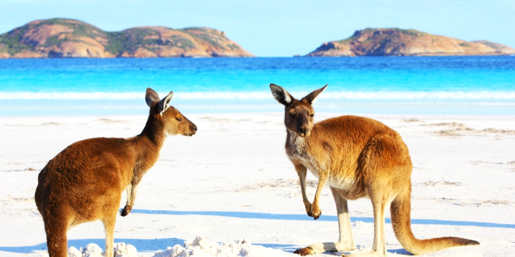 Urlaub in Australien