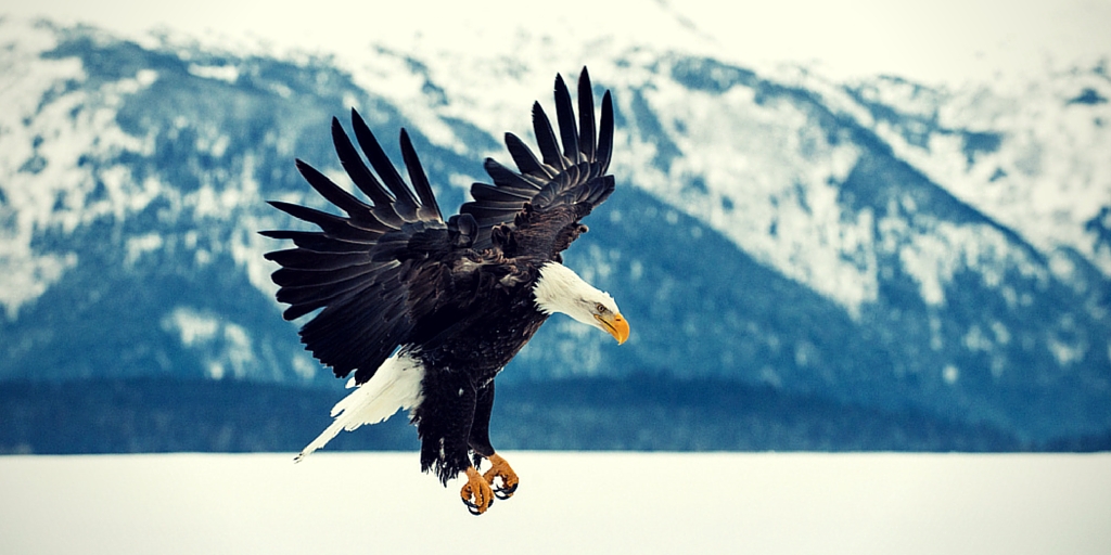 Alaska USA