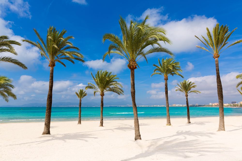 Last Minute Flug Und Hotel Palma De Mallorca Last Minute Flug Und Hotel Palma De Mallorca