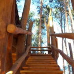 Treehotel in Schweden
