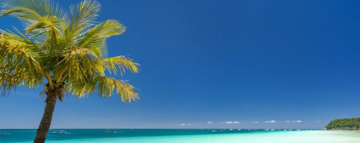 blaues meer, palme und strand