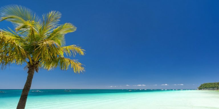 blaues meer, palme und strand