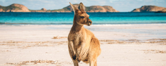 Die besten Reiseziele in Australien