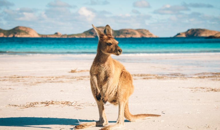 Beste Reisezeit Australien