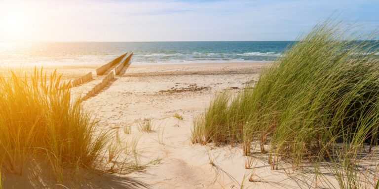 Erholungsurlaub an der Nordsee