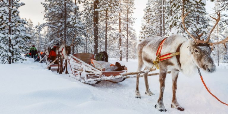 Lappland Flüge