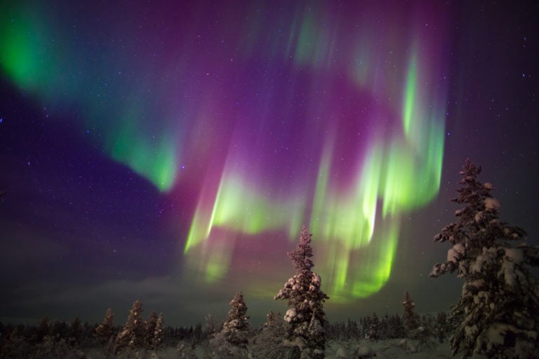 Glasvilla in Finnland Aus dem Bett heraus Sterne und Polarlichter beobachten