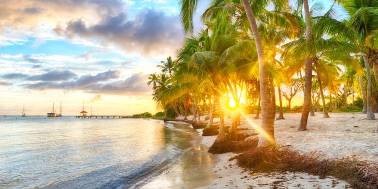 Günstige Flüge nach Martinique