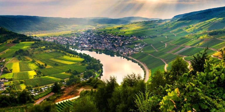 Kurztrip an die Mosel Kurztrip an die Mosel 4 Tage inklusive Halbpension Plus, Führung durch die Senfmühle und weiteren Extras schon für 99€