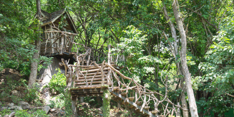 Urlaub im Baumhaus