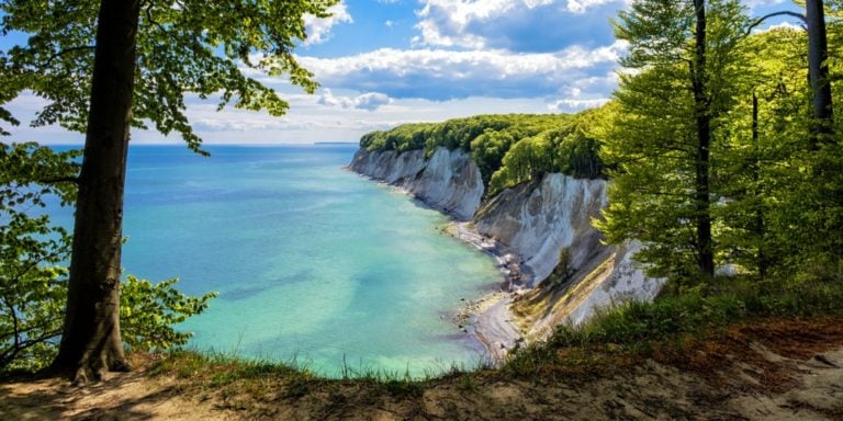 Kreidefelsen auf Rügen