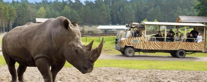 Serengeti Park in den Sommerferien