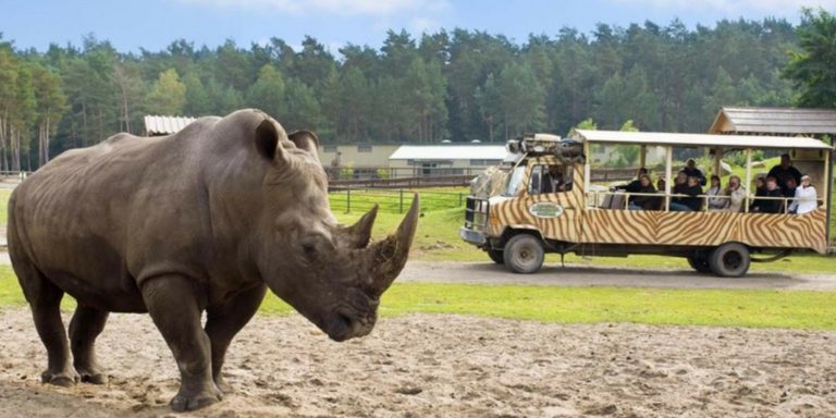 Freizeitpark Gutschein