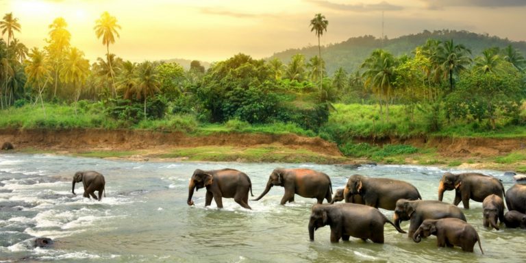 Ausnahmezustand in Sri Lanka