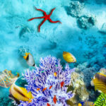 Hurghada Tipps: 10 Infos zu Anreise, Aktivitäten und Unterkünften