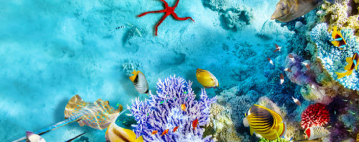 Luxus in Hurghada 14 Tage All Inclusive im 4* Hotel mit Flügen und Transfer schon für 292€