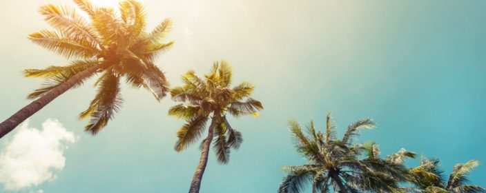Reiseziele im Juli