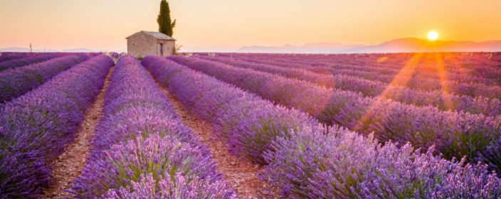 Urlaub in Frankreich
