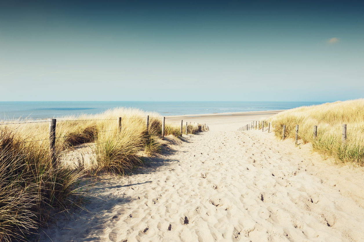 Wellness Urlaub Nordsee