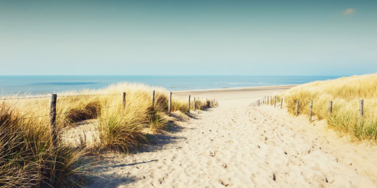 Wellness Urlaub Nordsee