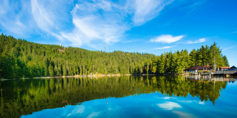 Wellnessurlaub im Schwarzwald