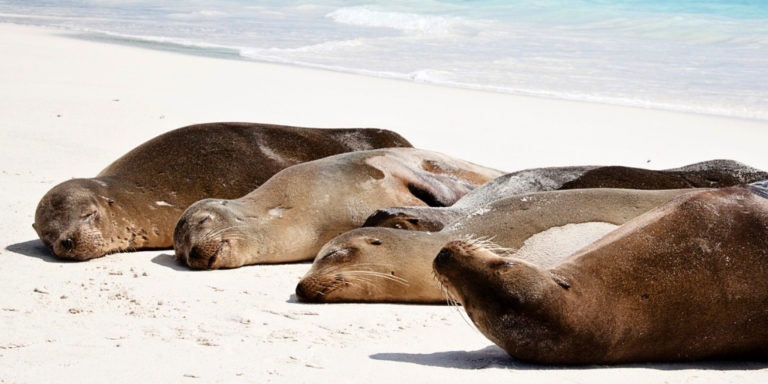 Galapagos Inselhopping