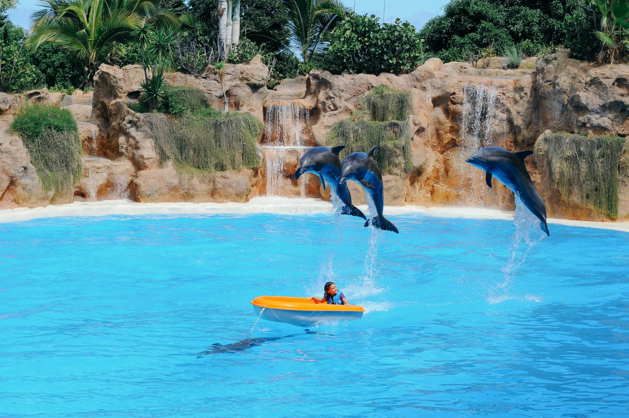 Loro Parque