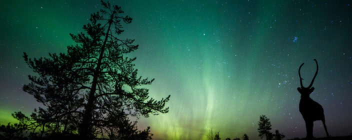 Die besten Orte um Polarlichter zu sehen