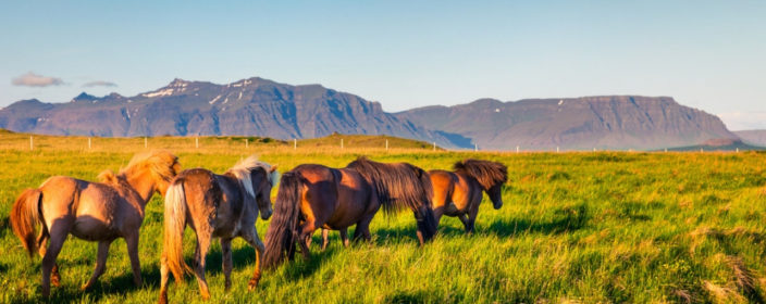 Zehn kostenlose Aktivitäten auf Island