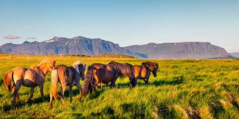 Zehn kostenlose Aktivitäten auf Island