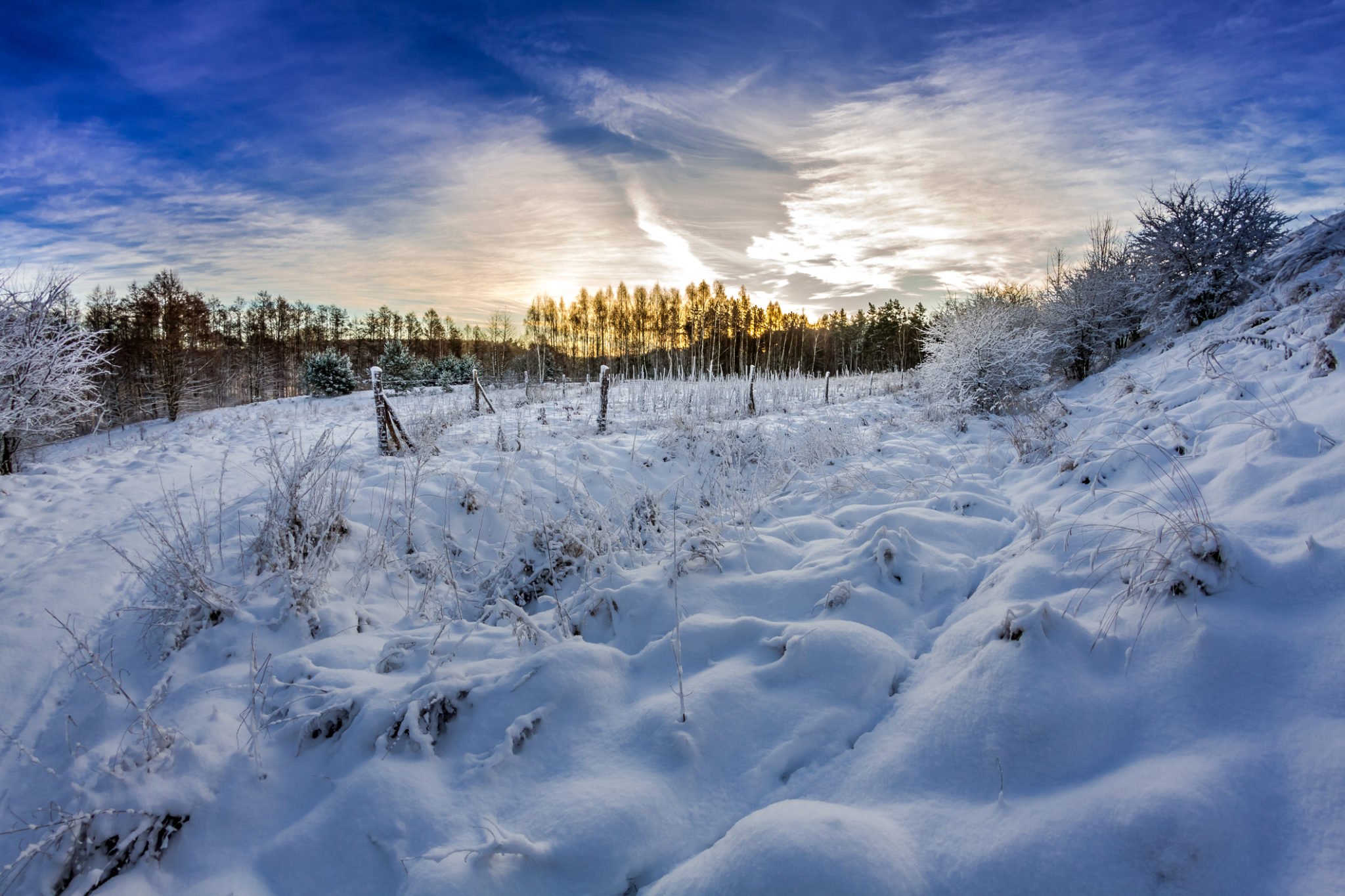 Forest path covered with snow at sunrise