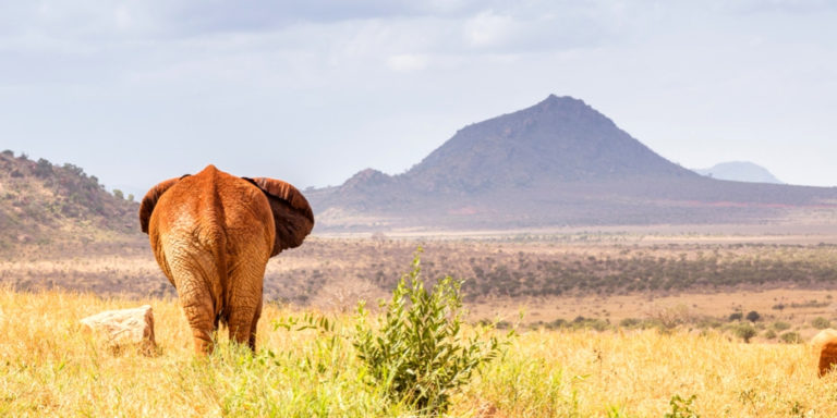 Beste Reisezeit für Botswana