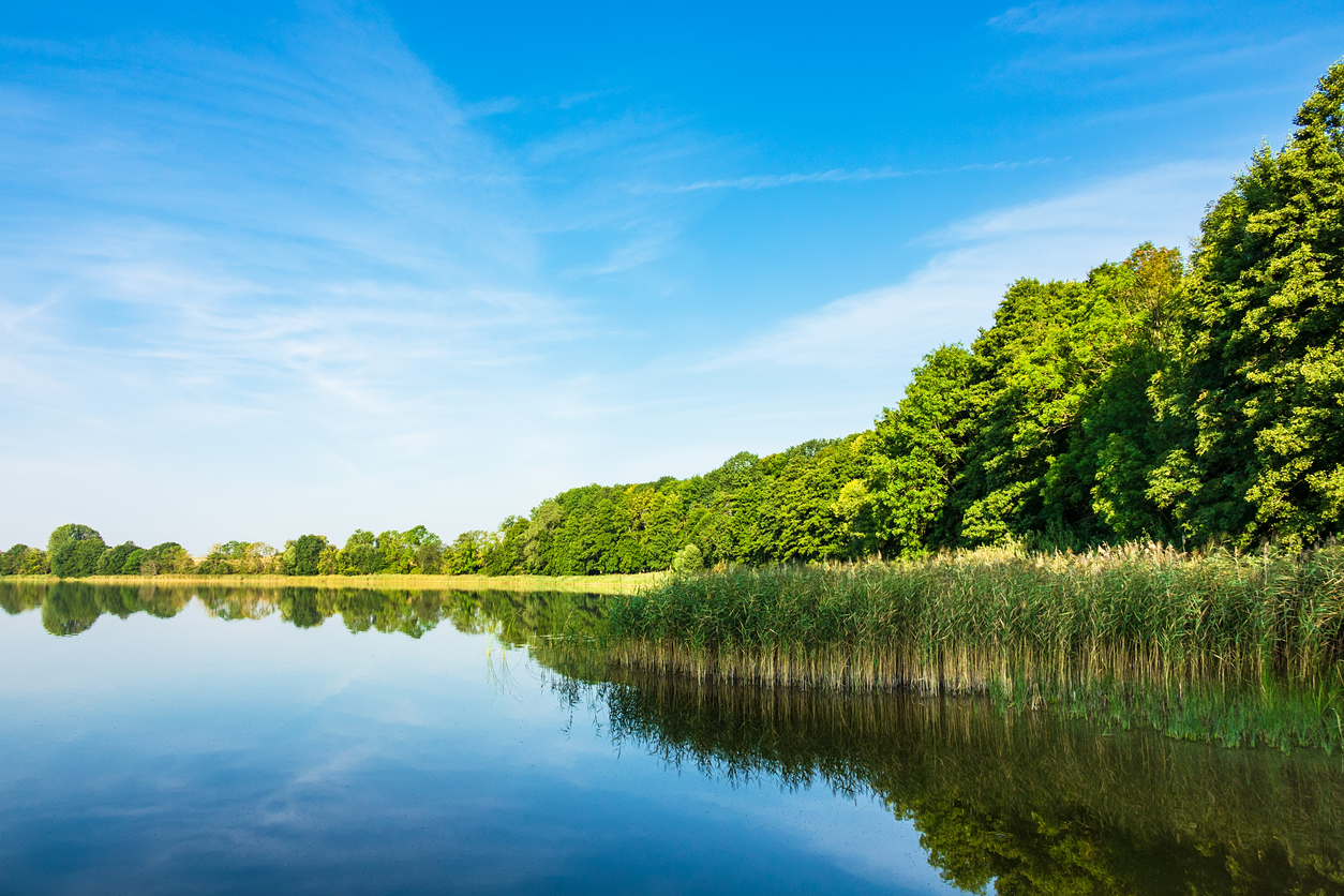 Landscape on a lake in Potzlow, Germany