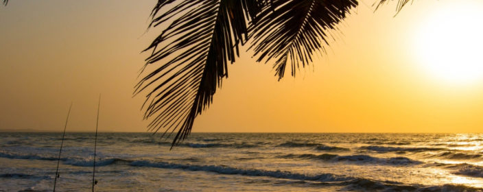 Die schönsten Strände in Gambia