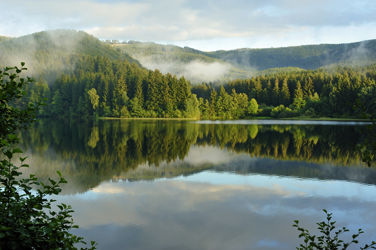 Misty landscape in Sösestausee,Germany.