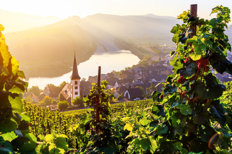 Kurztrip an die Mosel