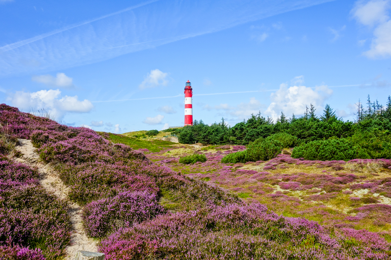 Lighthouse on the island Amrum at blue sky Germany