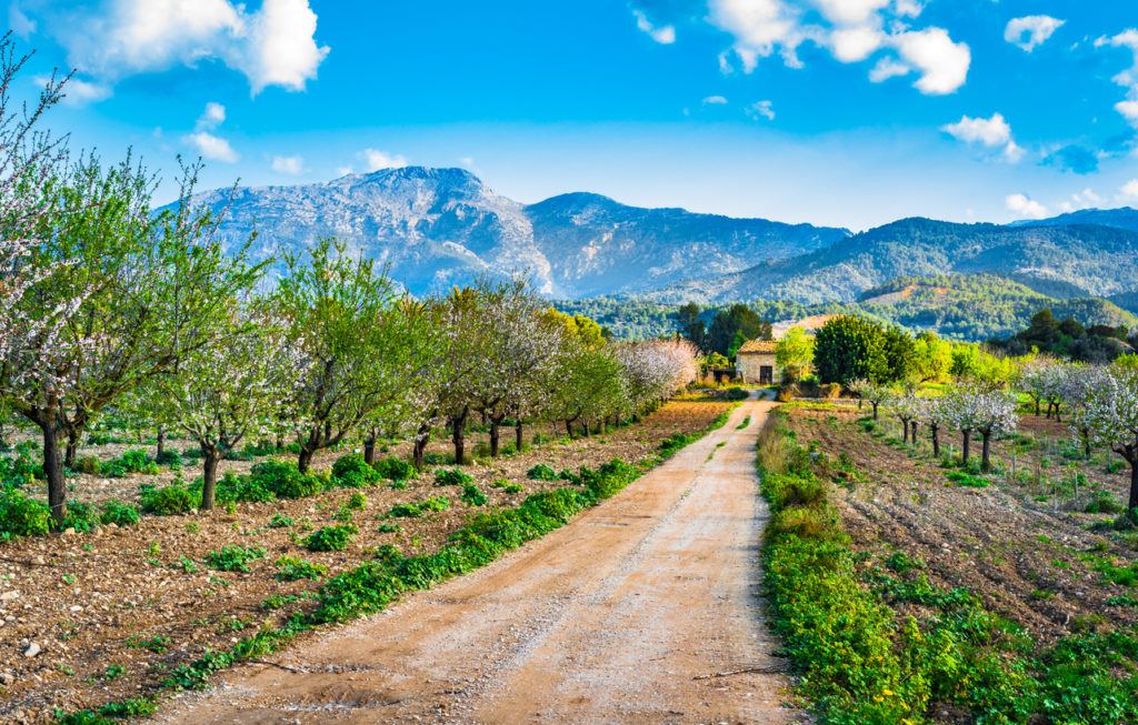 Bergkulisse auf Mallorca