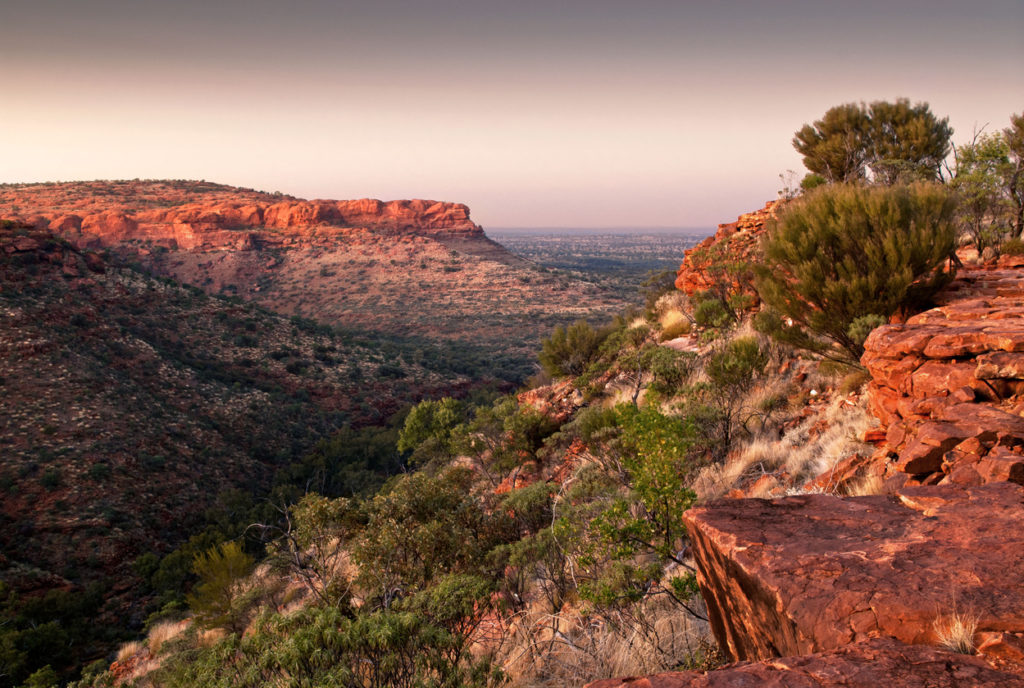 Kings Canyon im australischen Northern Territory