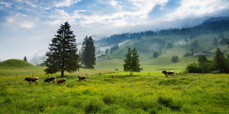 Familienurlaub in Österreich